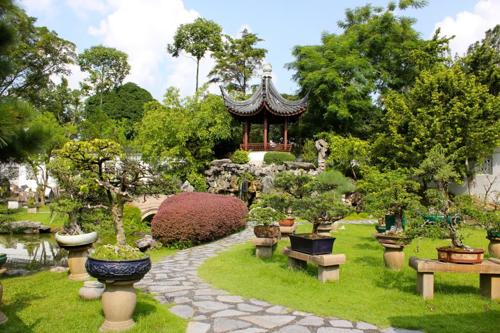 carton teen titans xxx asian garden day
